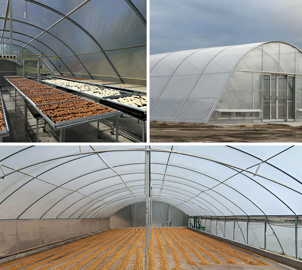 Trinity I.C.R Enterprises