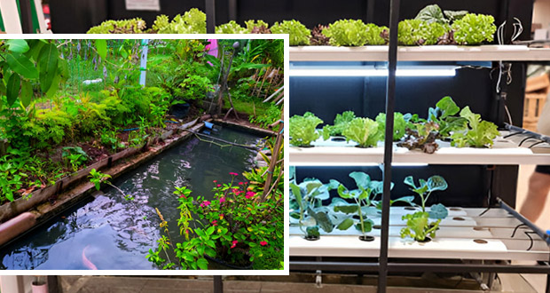 Trinity I.C.R Enterprises