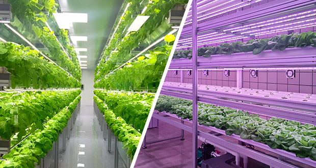 Trinity I.C.R Enterprises