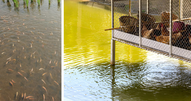 Trinity I.C.R Enterprises